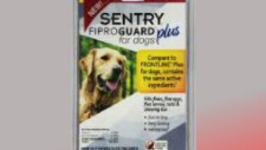 Sentry Fiproguard Plus Printable Coupon