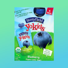 Printable coupon for stonyfield yogurt